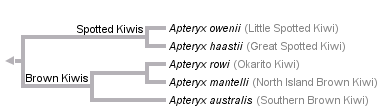 taxon links