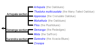 taxon links