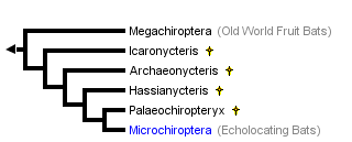 taxon links