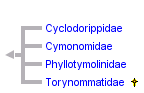 taxon links