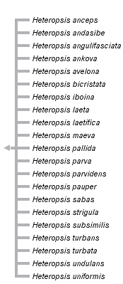 taxon links