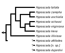 taxon links