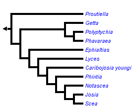 taxon links