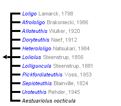 taxon links