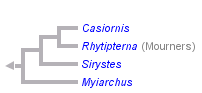 taxon links