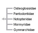 taxon links