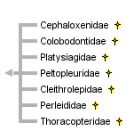 taxon links