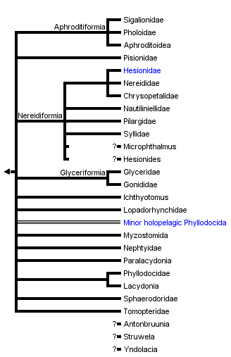 taxon links