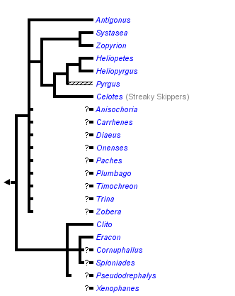 taxon links