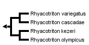 taxon links