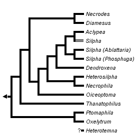 taxon links