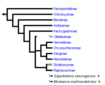 taxon links