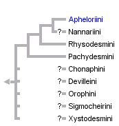 taxon links