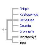 taxon links