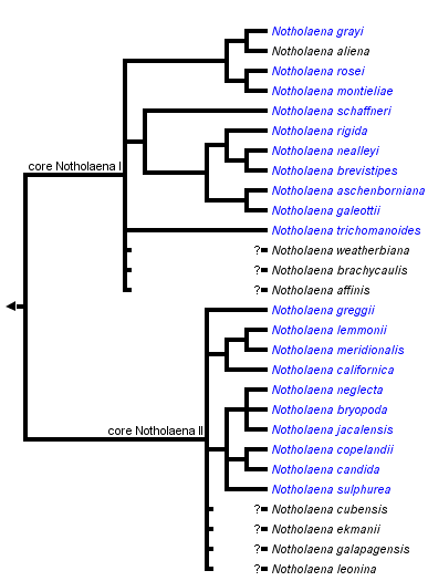 taxon links