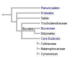 taxon links