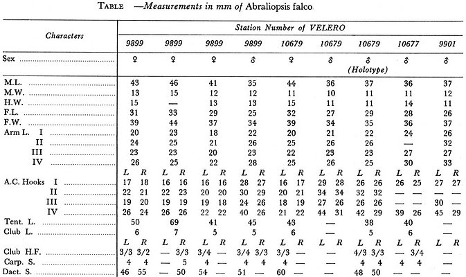Table of measurements and counts
